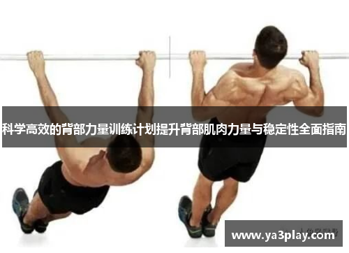 科学高效的背部力量训练计划提升背部肌肉力量与稳定性全面指南