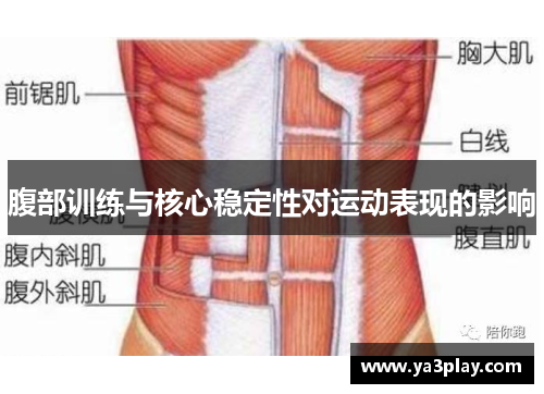 腹部训练与核心稳定性对运动表现的影响